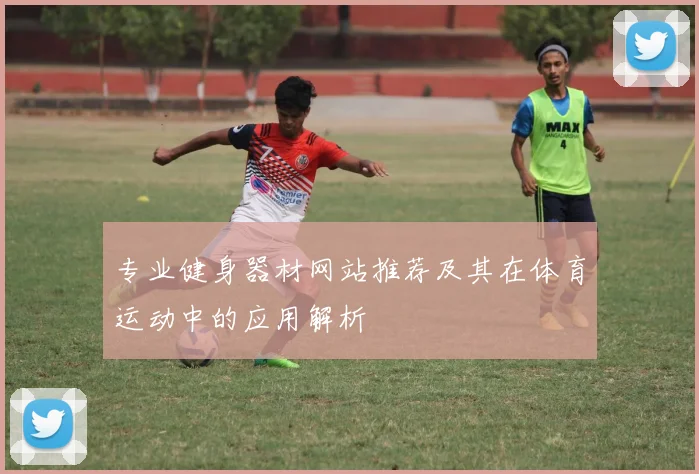 专业健身器材网站推荐及其在体育运动中的应用解析