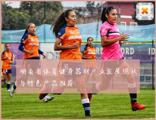 湖南省体育健身器材产业发展现状与特色产品推荐