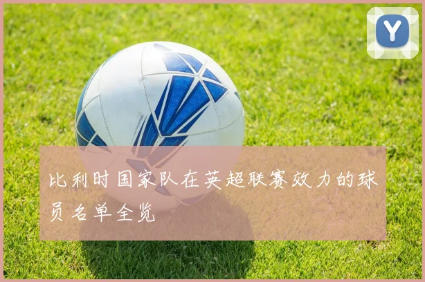 比利时国家队在英超联赛效力的球员名单全览